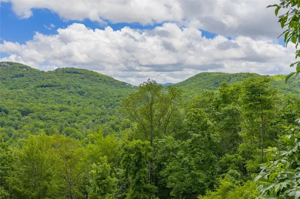 C44 Roaming Road Glenville NC 28736