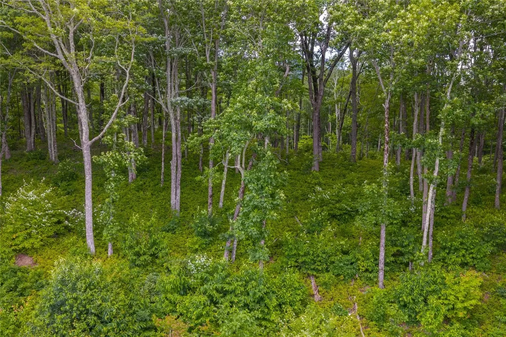 C44 Roaming Road Glenville NC 28736