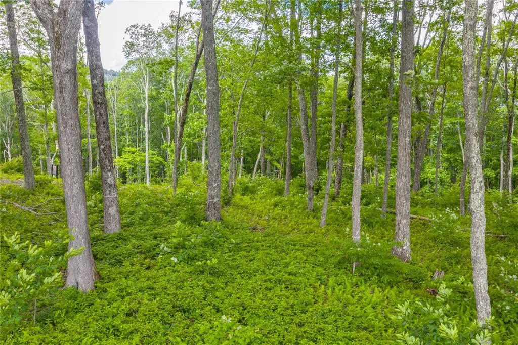 C44 Roaming Road Glenville NC 28736