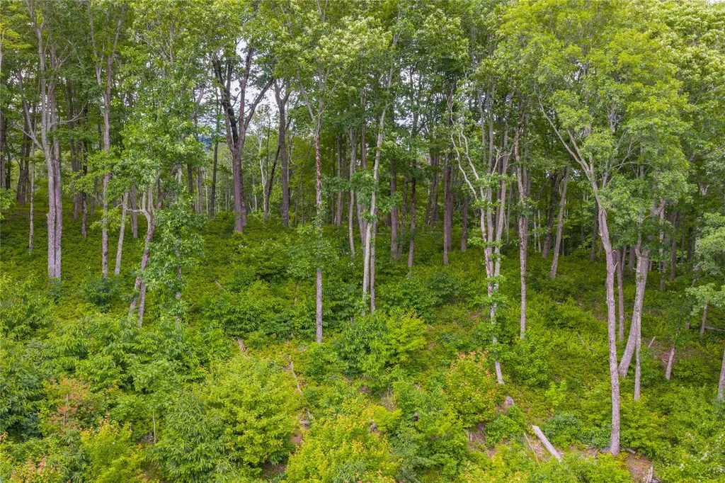 C44 Roaming Road Glenville NC 28736