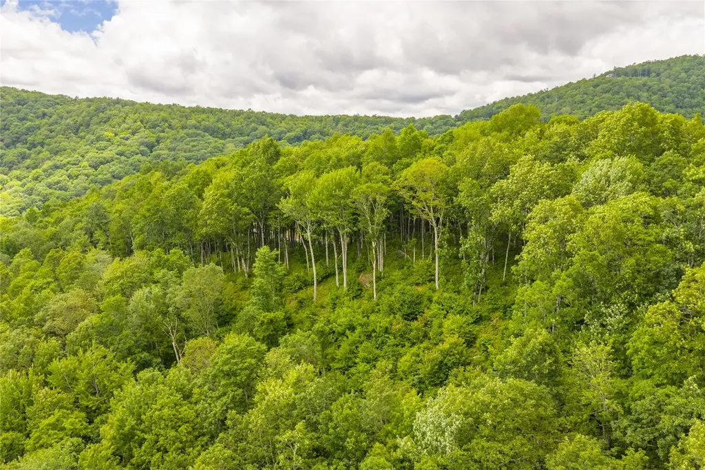 C44 Roaming Road Glenville NC 28736