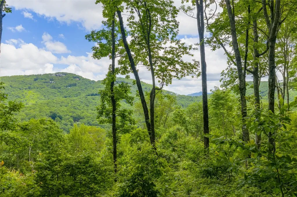 C44 Roaming Road Glenville NC 28736