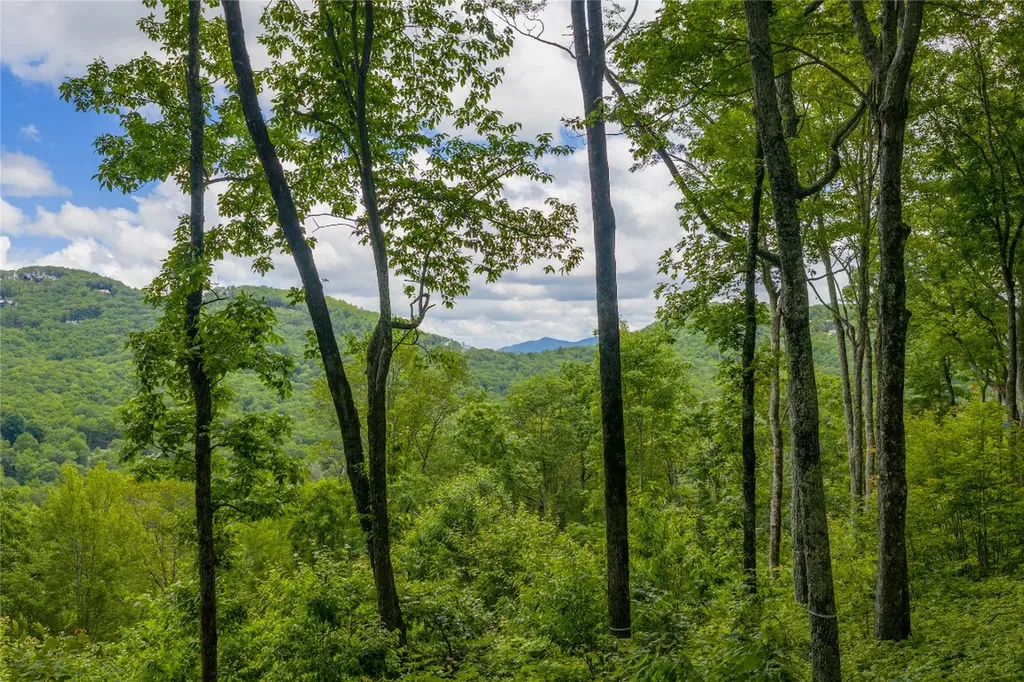 C44 Roaming Road Glenville NC 28736