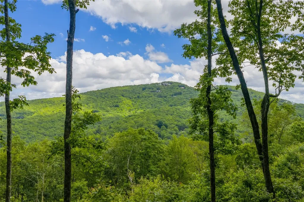 C44 Roaming Road Glenville NC 28736