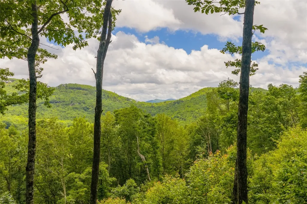 C44 Roaming Road Glenville NC 28736