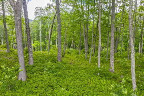 C44 Roaming Road Glenville NC 28736