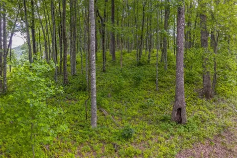 C44 Roaming Road Glenville NC 28736