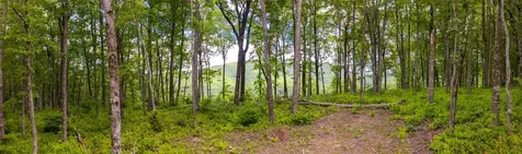 C44 Roaming Road Glenville NC 28736