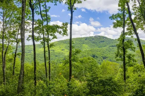 C44 Roaming Road Glenville NC 28736