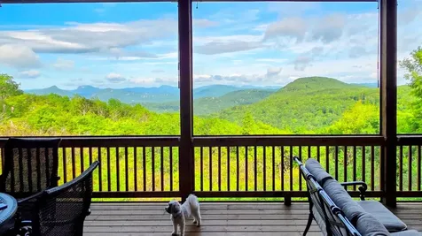 71 Raptor Way Sapphire NC 28774