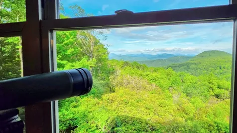 71 Raptor Way Sapphire NC 28774