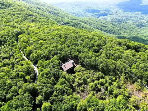 71 Raptor Way Sapphire NC 28774