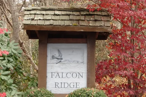 71 Raptor Way Sapphire NC 28774