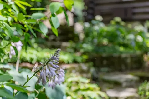 150 Cullasaja Drive Highlands NC 28741