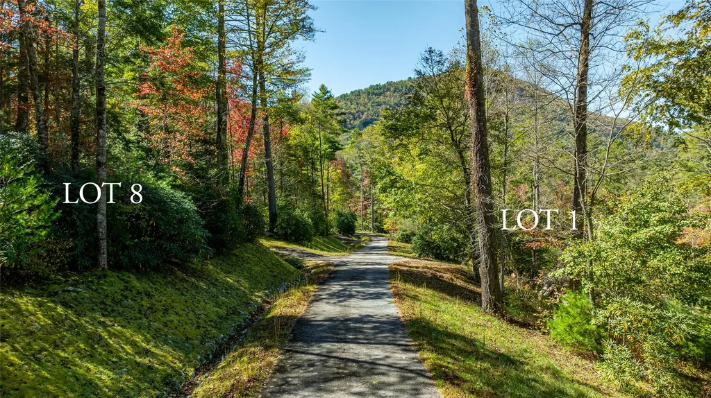 90 Sanctuary View Trail Highlands NC 28741