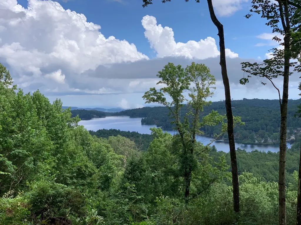 Lot 22 Panther Ridge Road Lake Toxaway NC 28747
