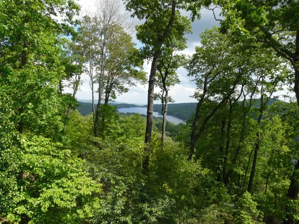 Tbd Panther Ridge Road Lake Toxaway NC 28747