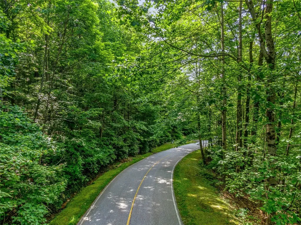 Lot 22 Panther Ridge Road Lake Toxaway NC 28747