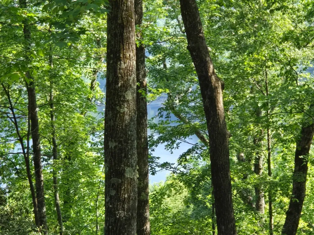 Lot 22 Panther Ridge Road Lake Toxaway NC 28747