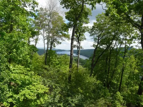 Lot 22 Panther Ridge Road Lake Toxaway NC 28747