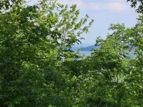 Lot 22 Panther Ridge Road Lake Toxaway NC 28747