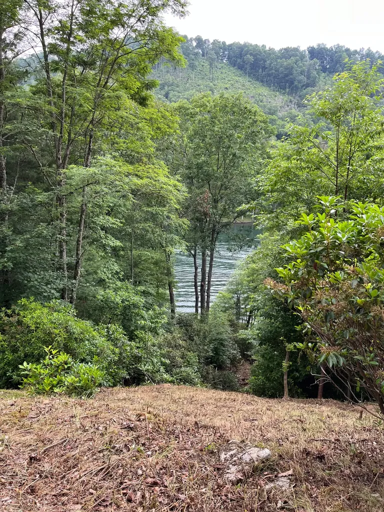 27 58 Wayside Lane Cullowhee NC 28723