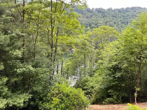 27 58 Wayside Lane Cullowhee NC 28723