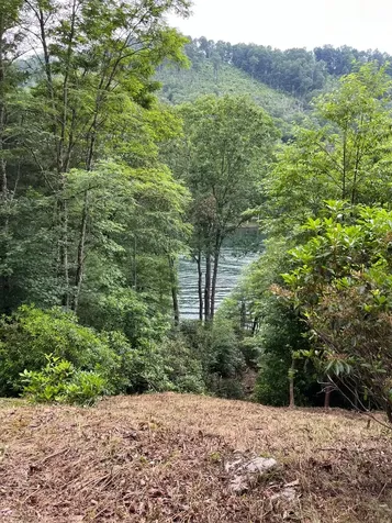 27 58 Wayside Lane Cullowhee NC 28723