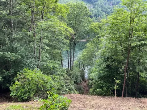 27 58 Wayside Lane Cullowhee NC 28723