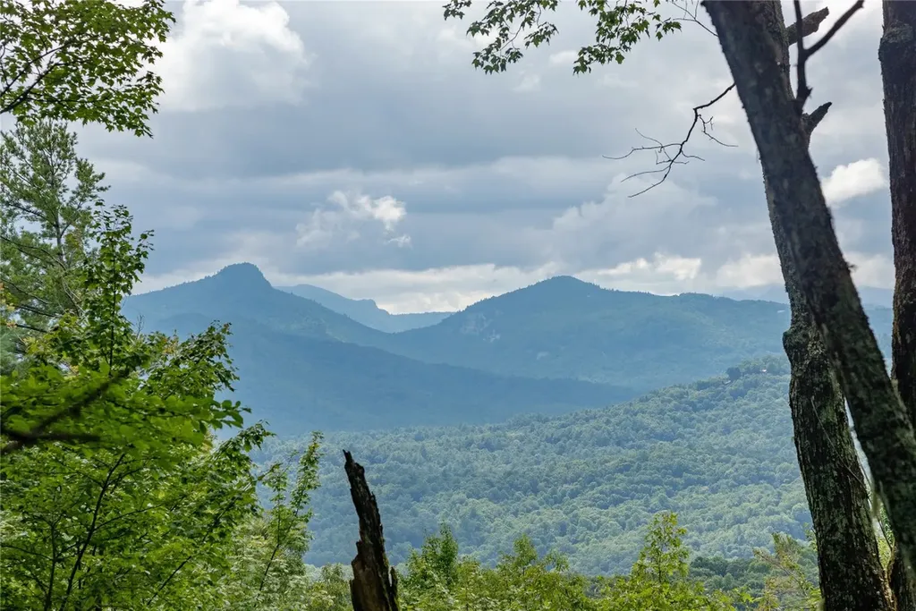 Lot 15 W Whitetail Drive Sapphire NC 28774