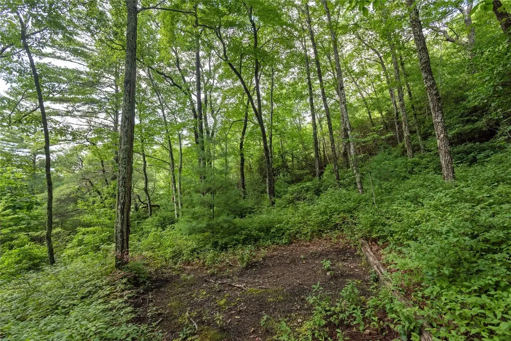 Lot 15 W Whitetail Drive Sapphire NC 28774