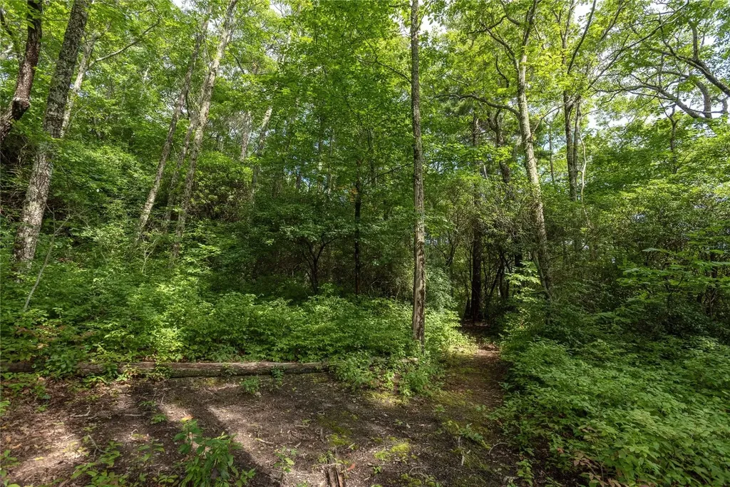 Lot 15 W Whitetail Drive Sapphire NC 28774