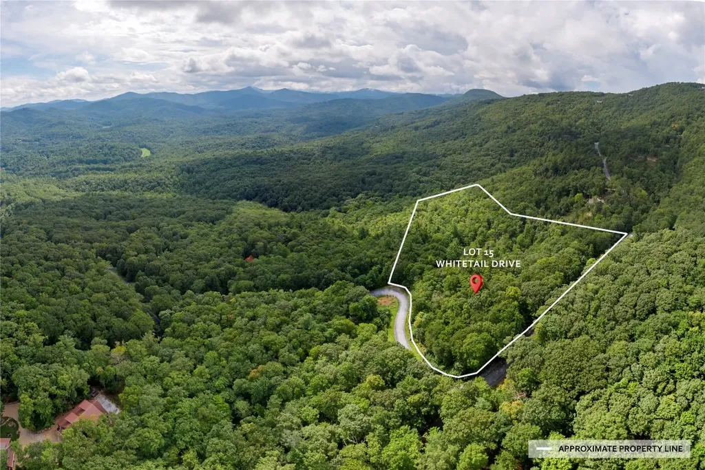Lot 15 W Whitetail Drive Sapphire NC 28774