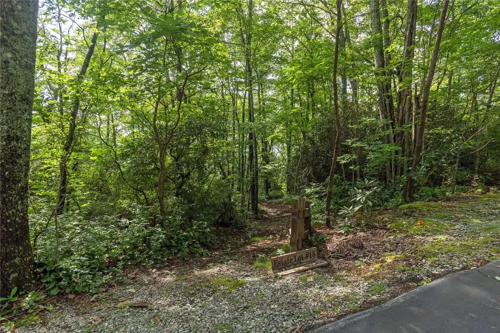 Lot 15 W Whitetail Drive Sapphire NC 28774