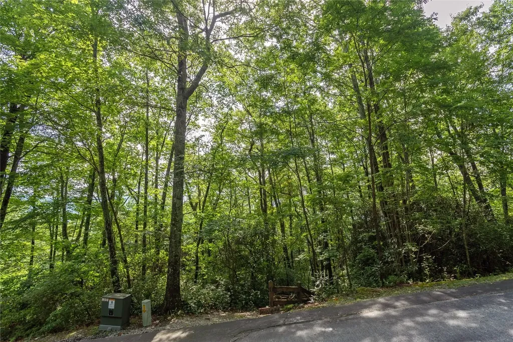 Lot 15 W Whitetail Drive Sapphire NC 28774