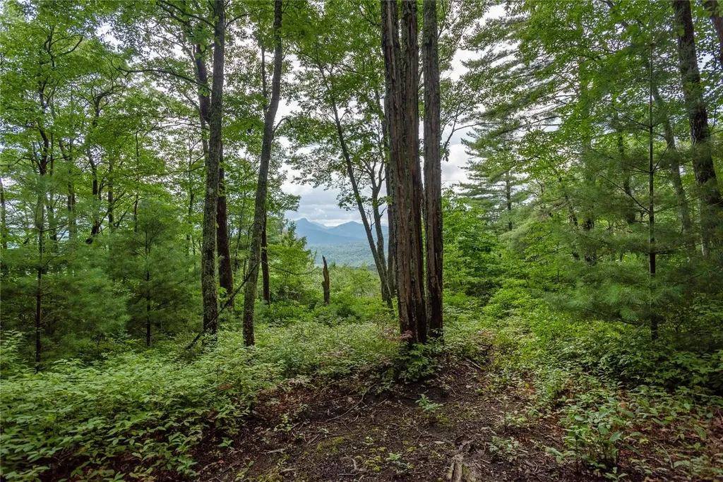 Lot 15 W Whitetail Drive Sapphire NC 28774