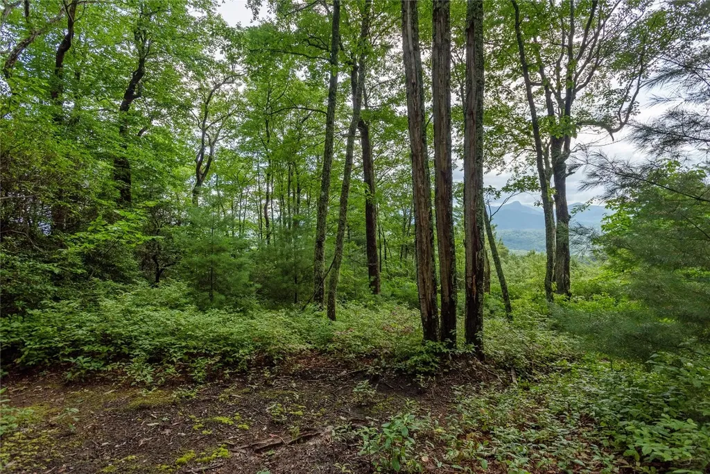 Lot 15 W Whitetail Drive Sapphire NC 28774