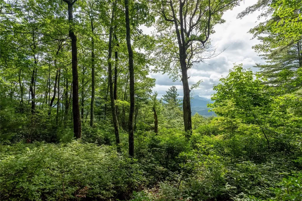 Lot 15 W Whitetail Drive Sapphire NC 28774