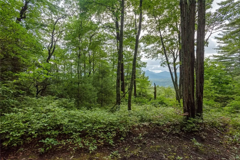 Lot 15 W Whitetail Drive Sapphire NC 28774