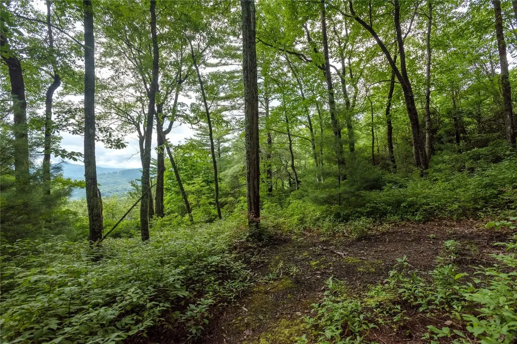 Lot 15 W Whitetail Drive Sapphire NC 28774