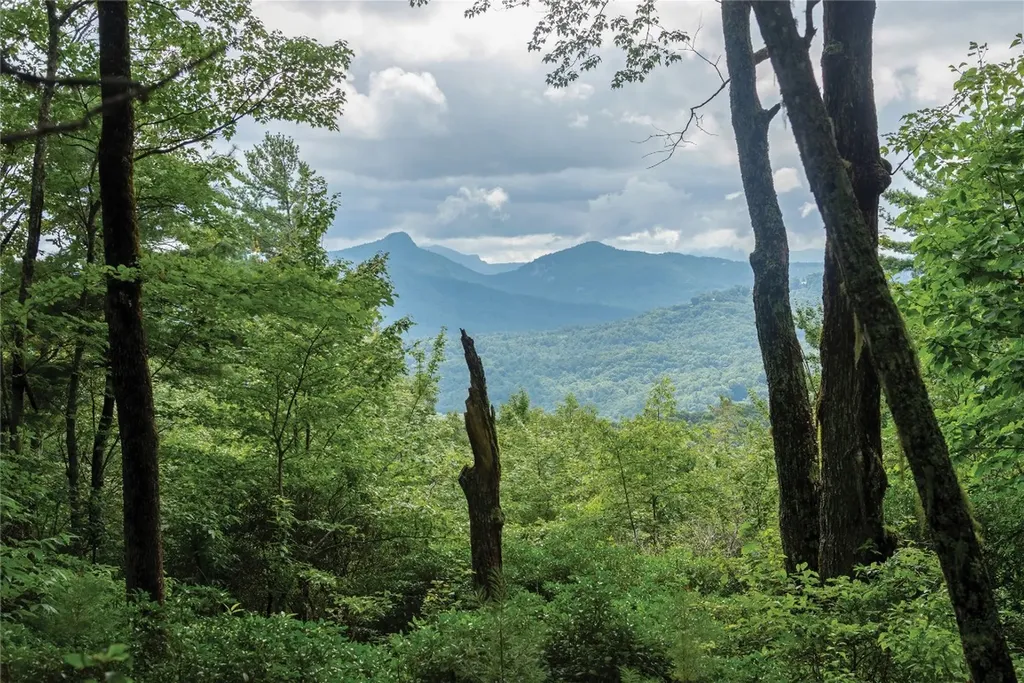 Lot 15 W Whitetail Drive Sapphire NC 28774