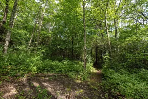 Lot 15 W Whitetail Drive Sapphire NC 28774