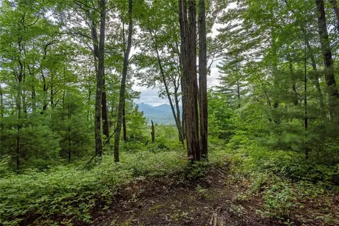 Lot 15 W Whitetail Drive Sapphire NC 28774