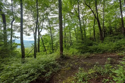 Lot 15 W Whitetail Drive Sapphire NC 28774