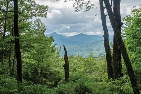 Lot 15 W Whitetail Drive Sapphire NC 28774