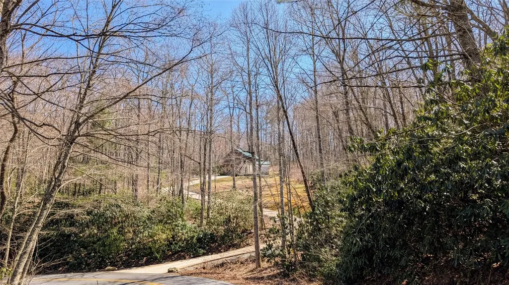 3214 Slick Fisher Road Lake Toxaway NC 28747