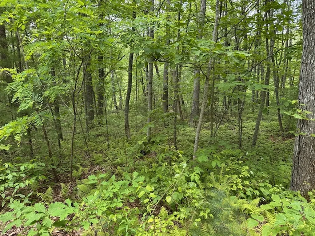 Tbd Dominion Glenville NC 28736