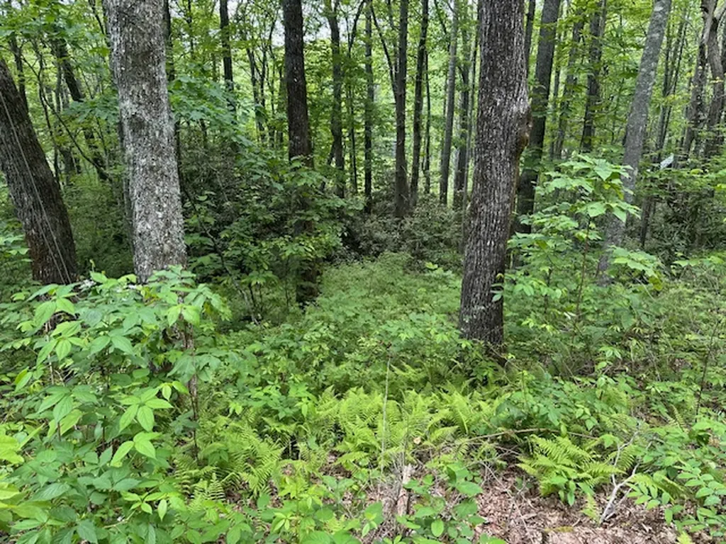 Tbd Dominion Glenville NC 28736