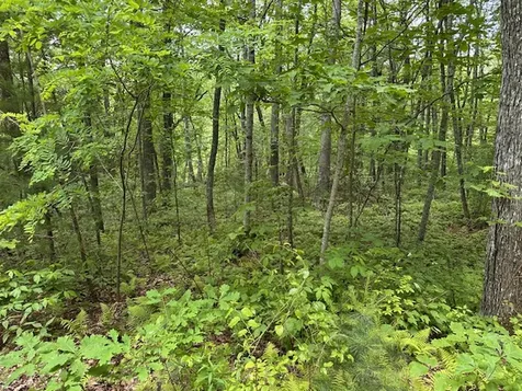 Tbd Dominion Glenville NC 28736