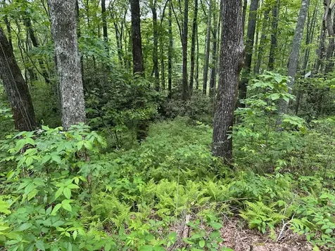 Tbd Dominion Glenville NC 28736